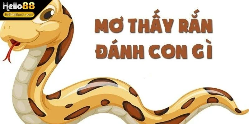 giai-ma-giac-mo-thay-ran