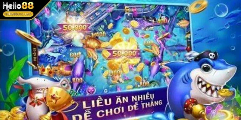 no-hu-ban-ca-da-dang-cac-muc-cuoc
